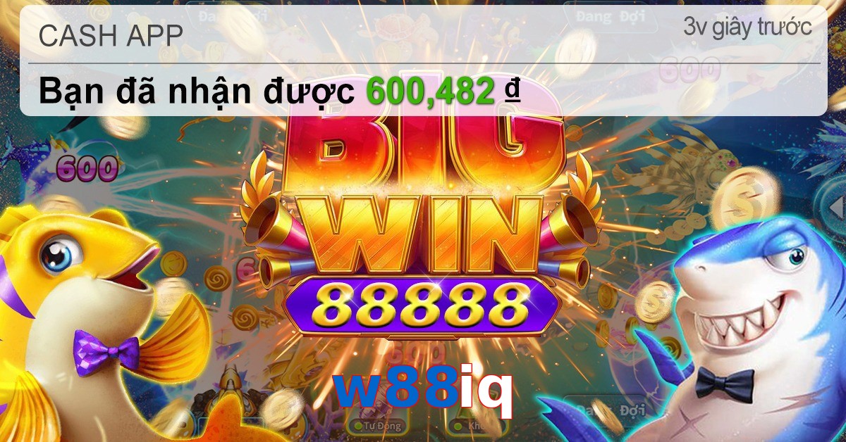 w88iq